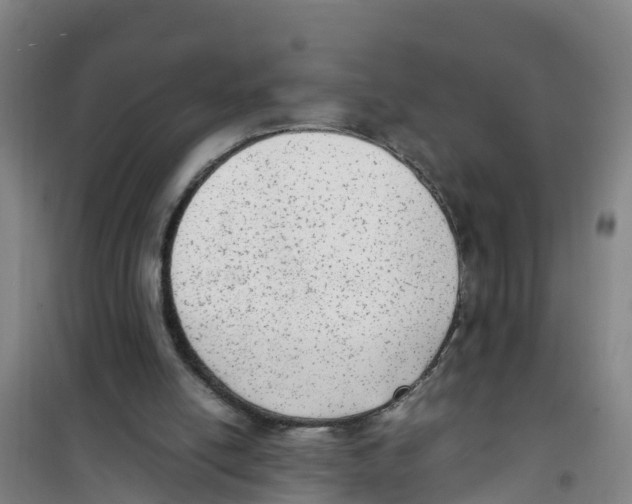 X0000100350054200807031824