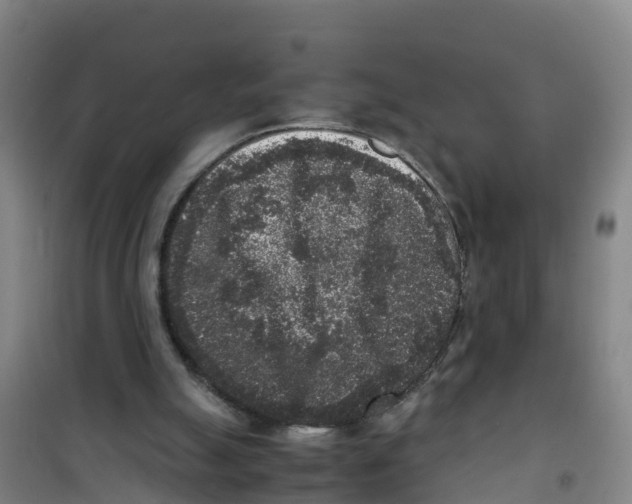 X0000100350055200807031824