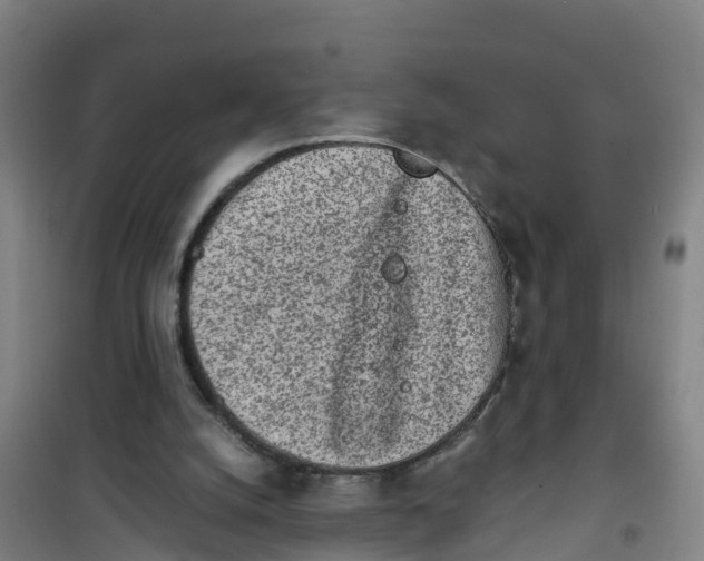 X0000100350056200807031824