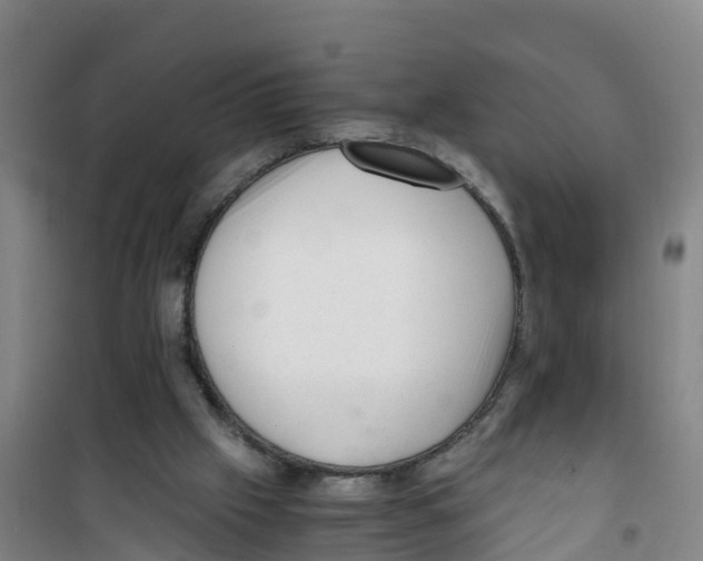 X0000100350057200807031824