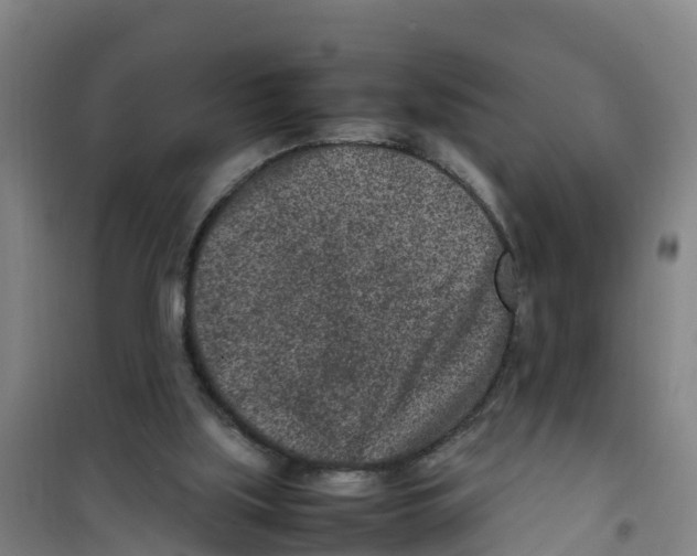 X0000100350059200807031824