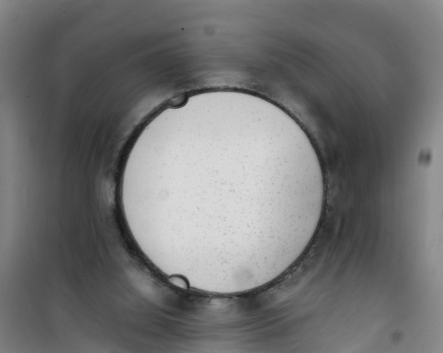 X0000100350060200807031824