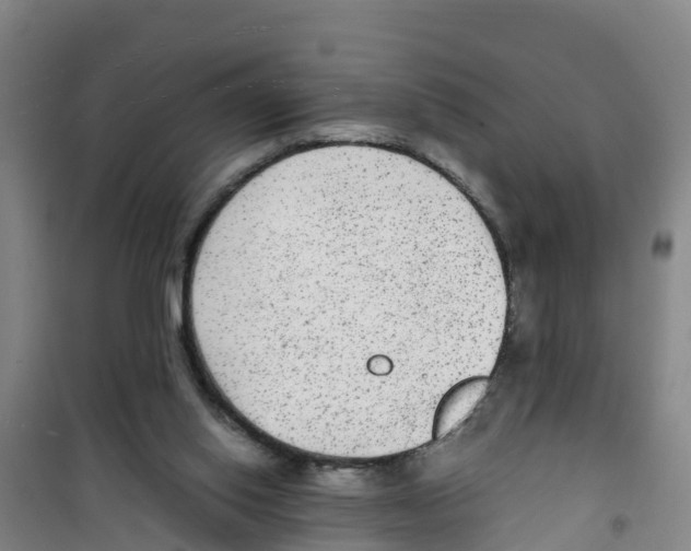 X0000100350062200807031824