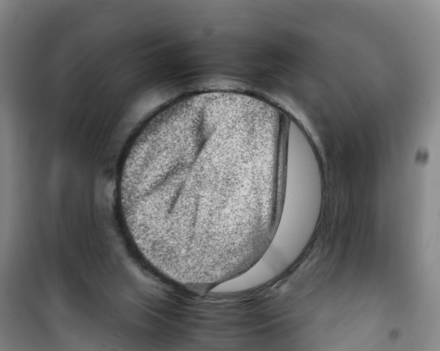 X0000100350063200807031824