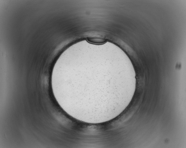 X0000100350064200807031824