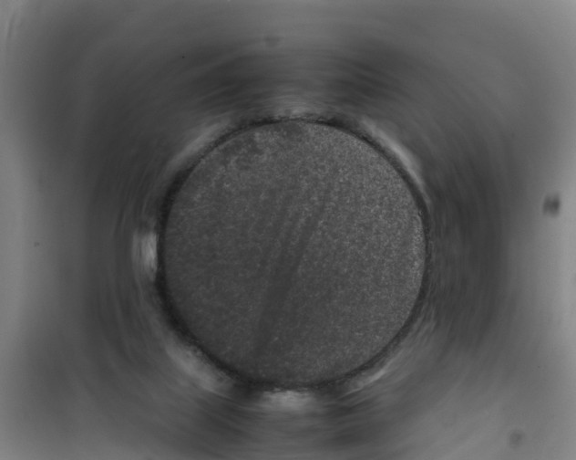 X0000100350067200807031824