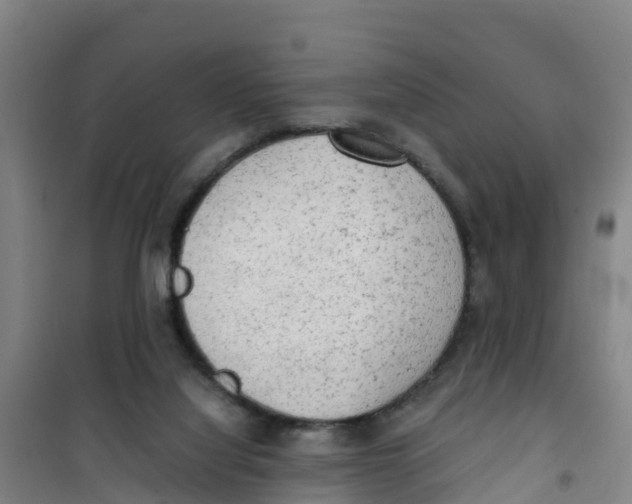 X0000100350068200807031824