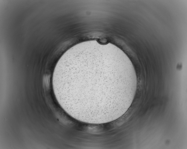 X0000100350070200807031824