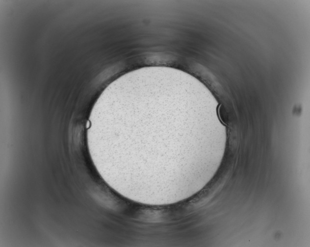 X0000100350071200807031824