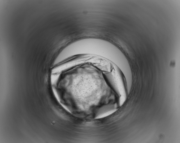 X0000100350072200807031824