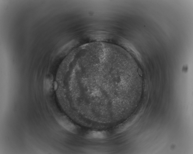 X0000100350073200807031824