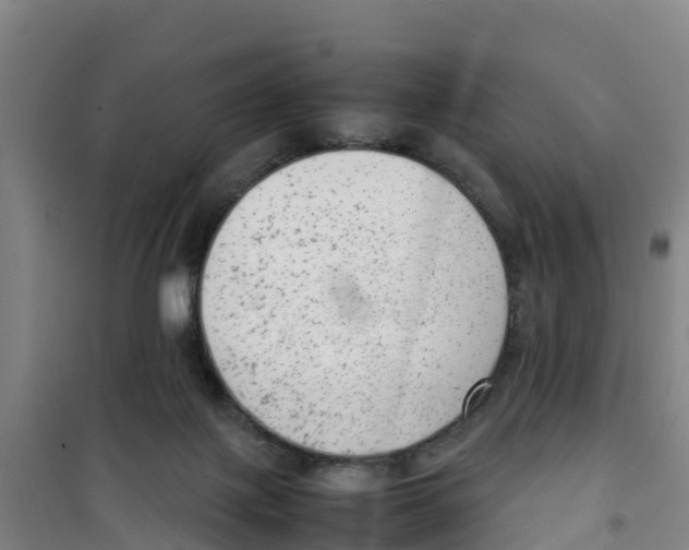 X0000100350075200807031824