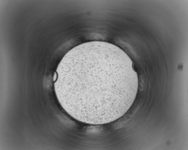 X0000100350077200807031824