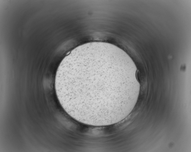 X0000100350078200807031824