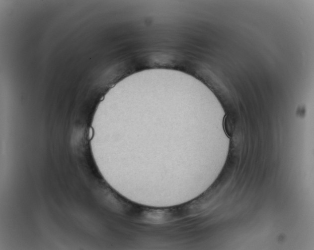 X0000100350079200807031824