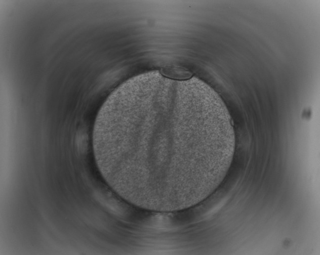 X0000100350080200807031824