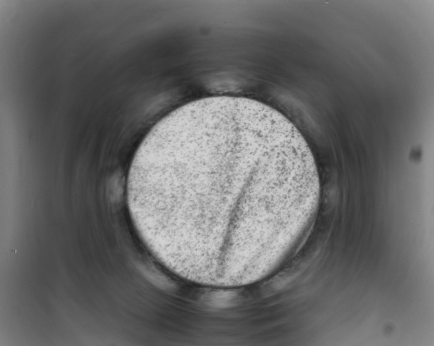 X0000100350081200807031824