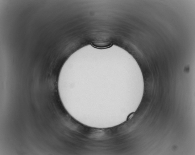 X0000100350083200807031824