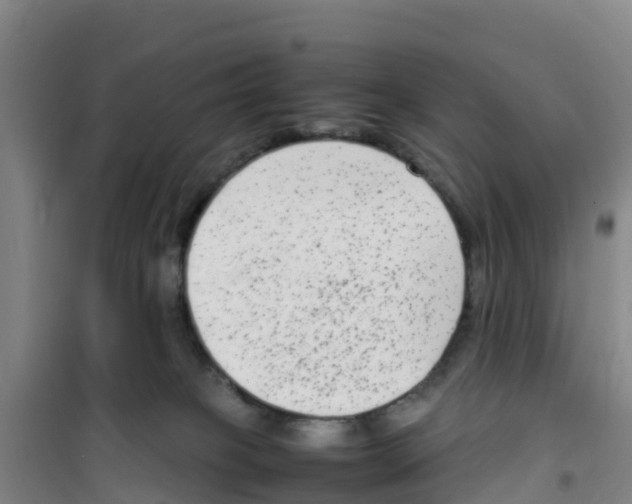 X0000100350085200807031824