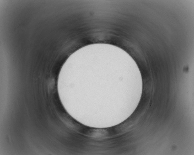 X0000100350087200807031824