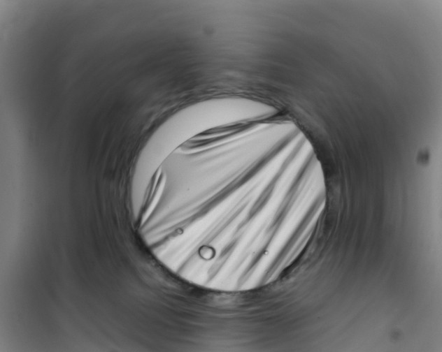 X0000100350088200807031824