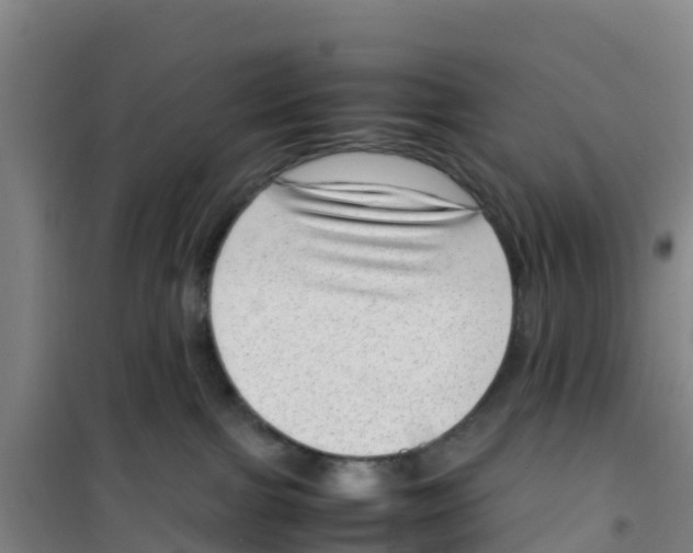 X0000100350091200807031824