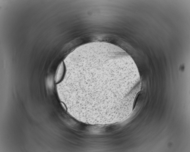 X0000100350094200807031824