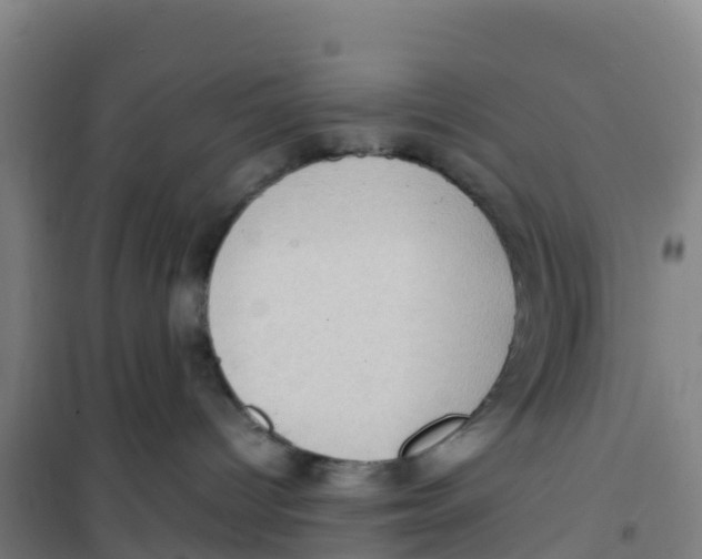 X0000100350096200807031824