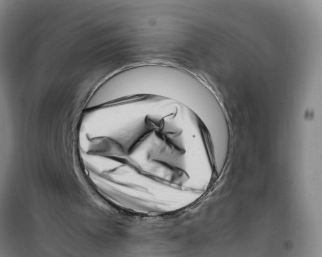 X0000100350097200807031824