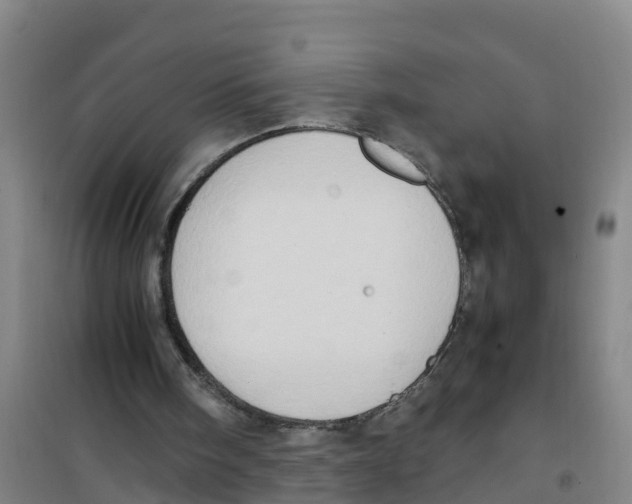 X0000100350098200807031823