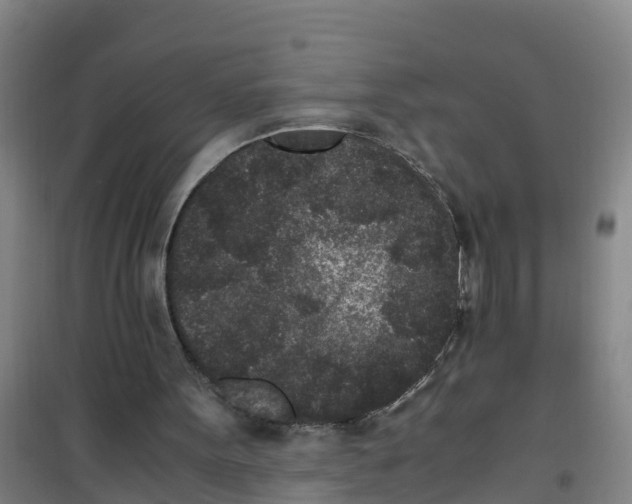 X0000100350099200807031823