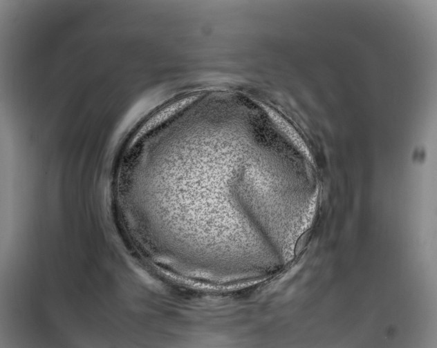 X0000100350101200807031823