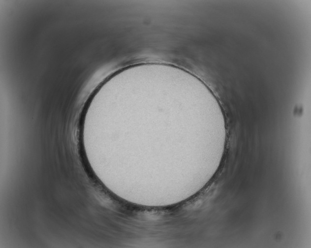 X0000100350103200807031823