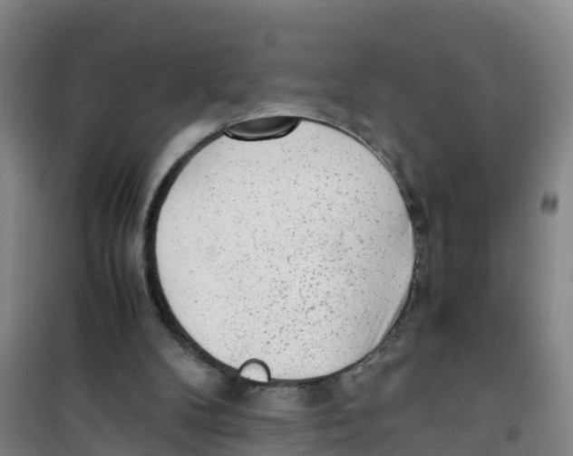 X0000100350104200807031823