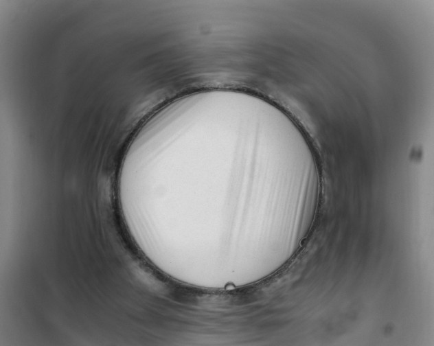 X0000100350105200807031823