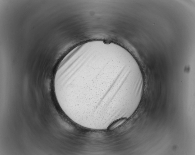 X0000100350106200807031823