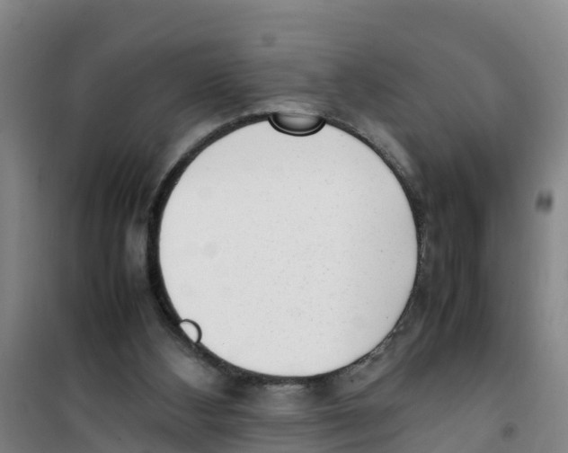 X0000100350108200807031823