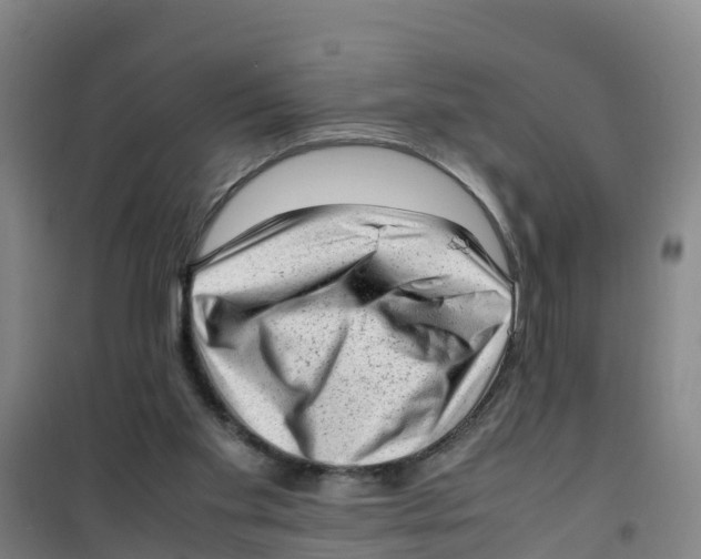 X0000100350109200807031823