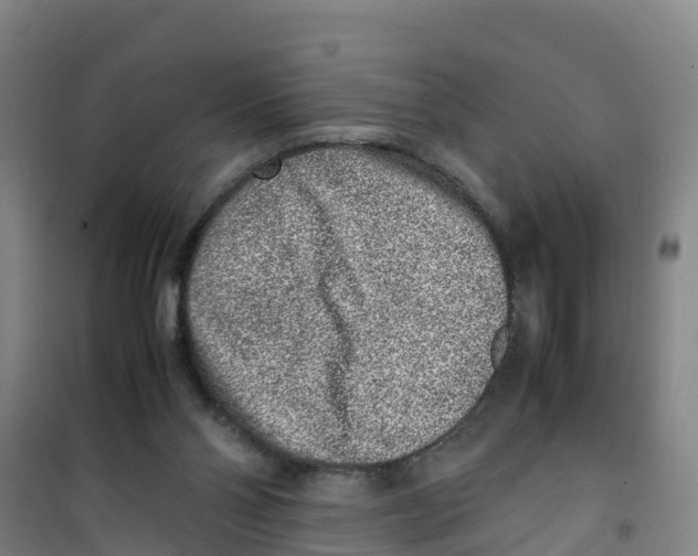 X0000100350110200807031823