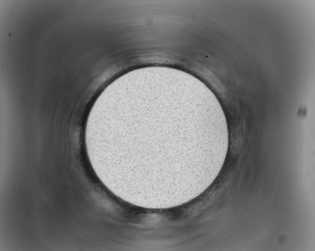 X0000100350111200807031823