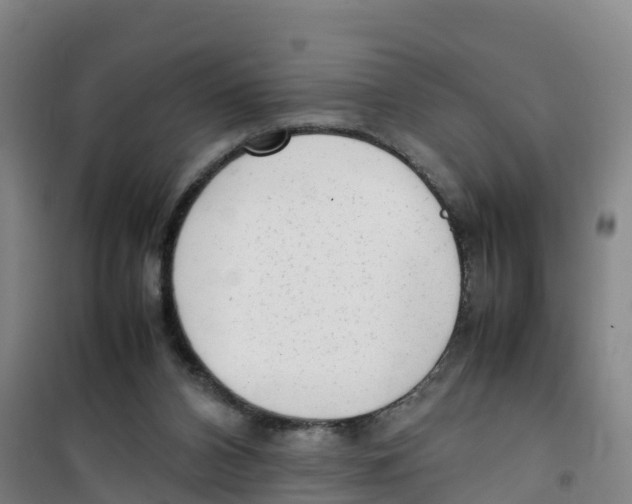 X0000100350112200807031823