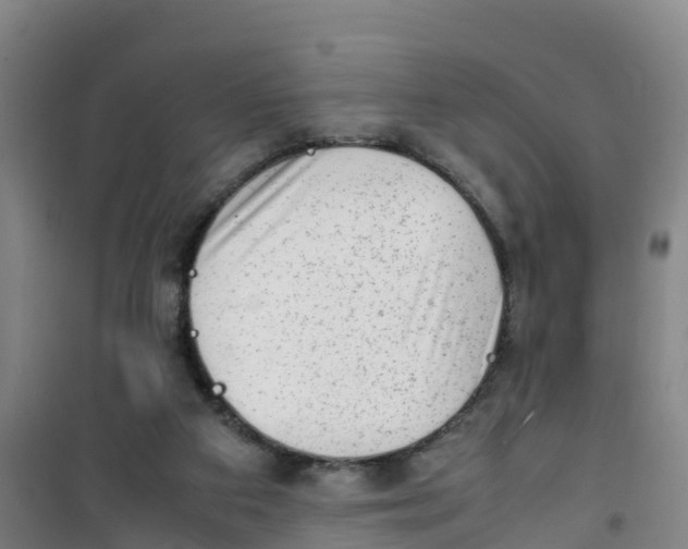 X0000100350113200807031823