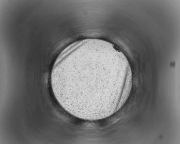 X0000100350115200807031823