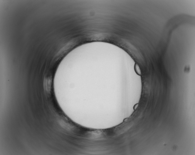 X0000100350118200807031823