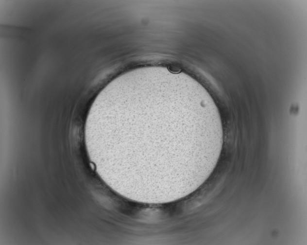 X0000100350119200807031823