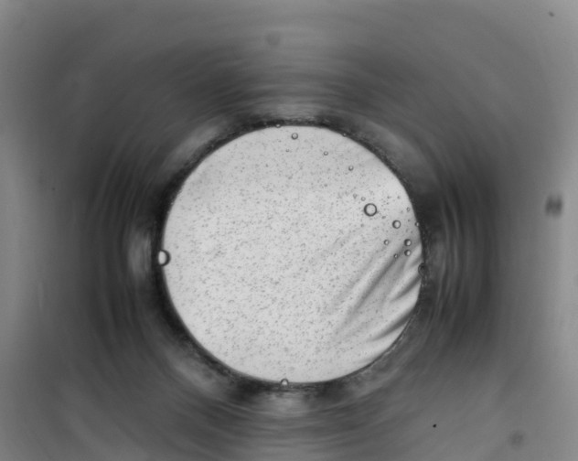 X0000100350120200807031823