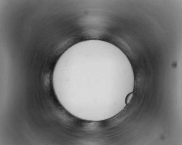 X0000100350122200807031823