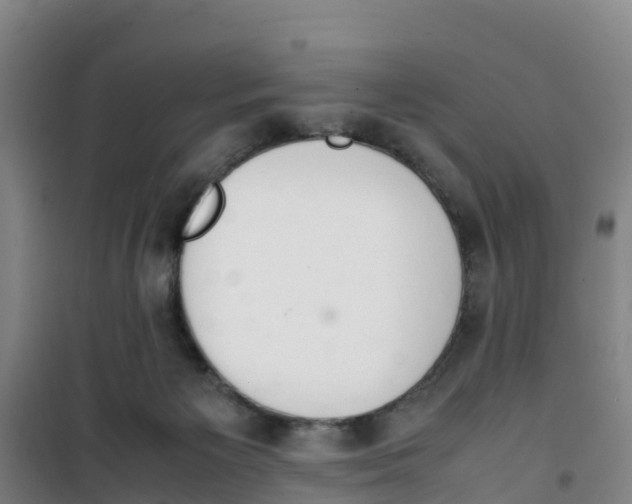 X0000100350125200807031823