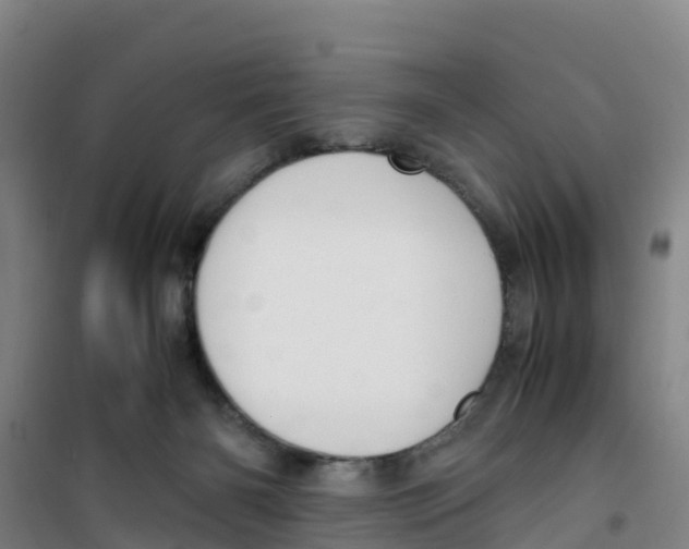 X0000100350126200807031823