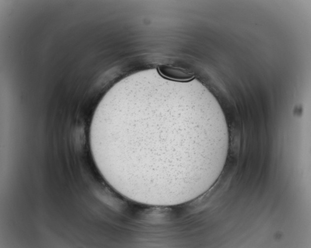 X0000100350128200807031823